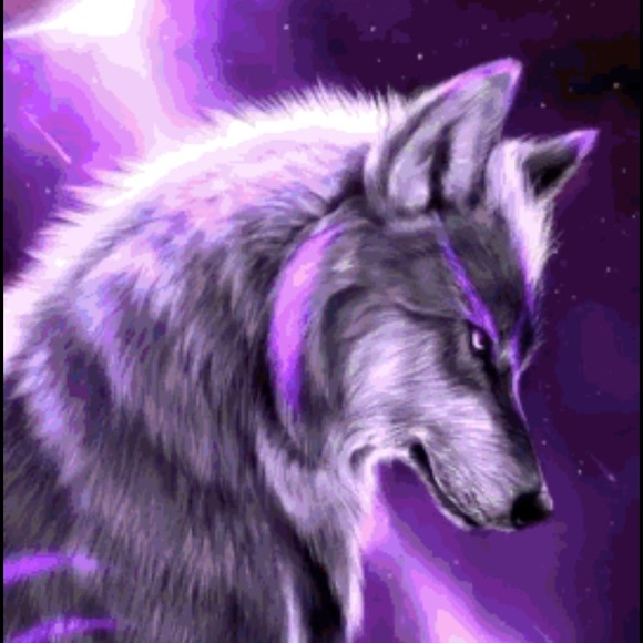 Meet your Posher, Danny - Picture 1 of 1